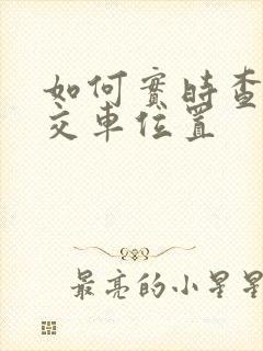 如何实时查看公交车位置