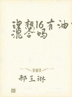 理想l6有油电混合吗