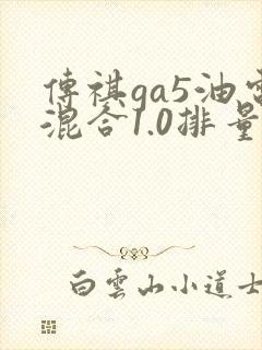 传祺ga5油电混合1.0排量