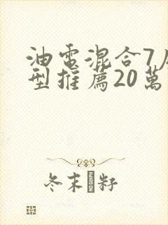 油电混合7座车型推荐20万左右