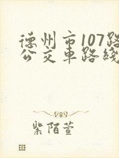德州市107路公交车路线图