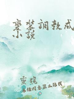 变装调教成淫妇小说