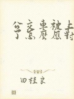 公交车被上高潮了怎么应对