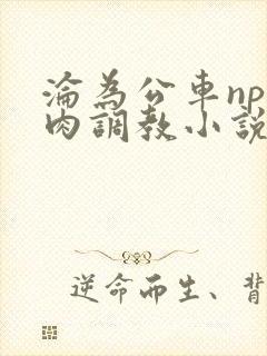 沦为公车np纯肉调教小说