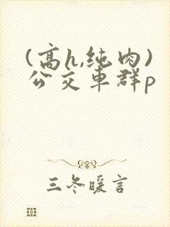 (高h,纯肉)公交车群p