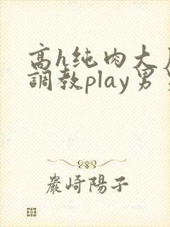 高h纯肉大尺度调教play男男