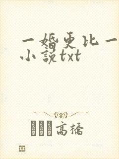 一婚更比一婚高小说txt