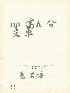 np 高h 公交车