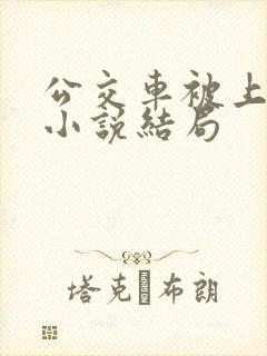 公交车被上高潮小说结局