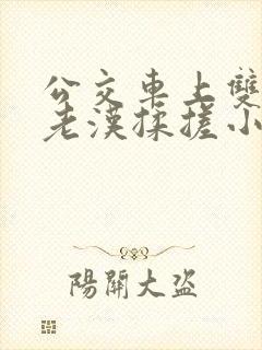 公交车上双乳被老汉揉搓小说