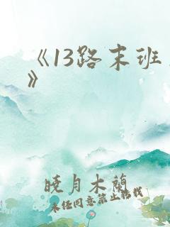 《13路末班车》