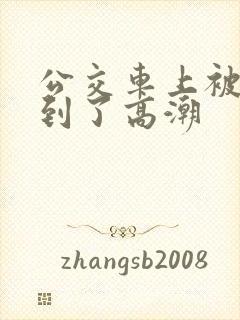 公交车上被人摸到了高潮