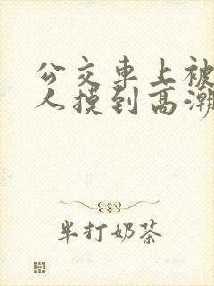 公交车上被陌生人摸到高潮