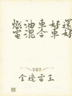 燃油车好还是油电混合车好