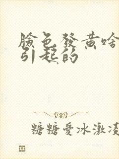 脸色发黄啥原因引起的