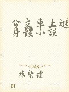 公交车上进入我身体小说