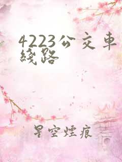 4223公交车线路