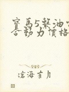 宝马5系油电混合动力价格