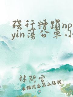 强行糟蹋np肉yin荡公车小说