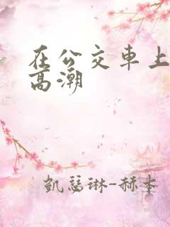 在公交车上弄到高潮