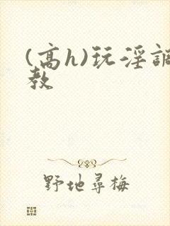 (高h)玩淫调教