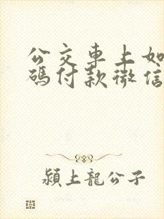 公交车上如何扫码付款微信