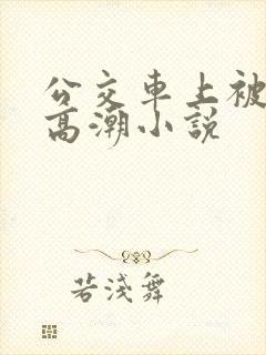 公交车上被摸到高潮小说