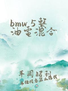 bmw 5系 油电混合