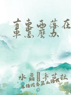 有东西落在公交车怎么办