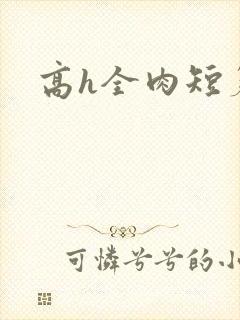 高h全肉短篇
