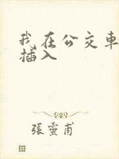 我在公交车上被插入