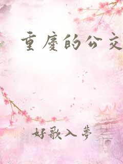 重庆的公交车