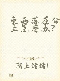 东西落在公交车上怎么办?