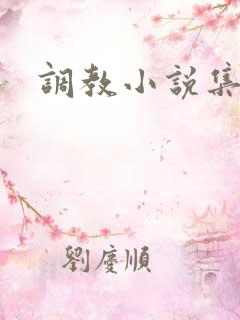 调教小说集np