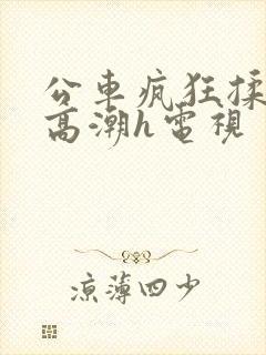 公车疯狂揉肉蒂高潮h电视