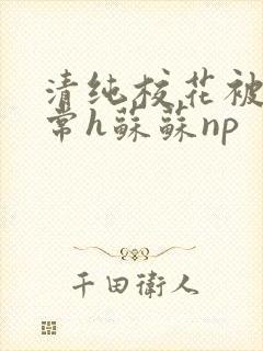 清纯校花被脔日常h苏苏np