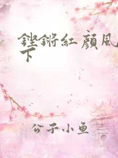 铿锵红颜风行天下