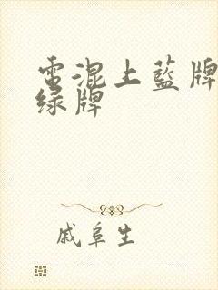 电混上蓝牌还是绿牌