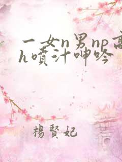 一女n男np高h喷汁呻吟