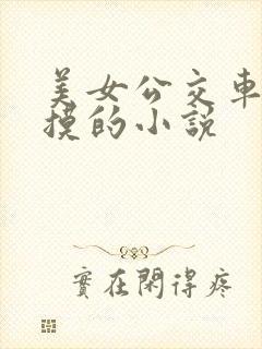 美女公交车上被摸的小说