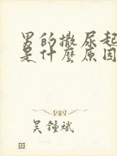 男的撒尿起泡泡是什么原因
