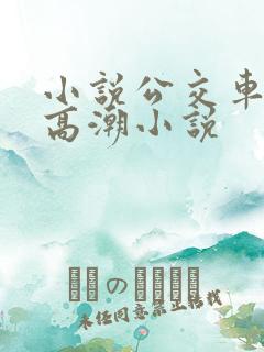 小说公交车被上高潮小说