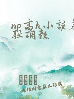 np高h小说羞耻调教