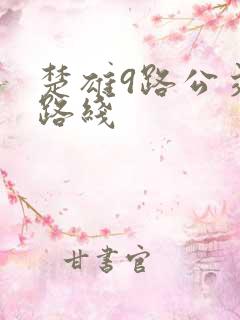 楚雄9路公交车路线