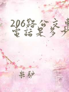 206路公交车电话是多少