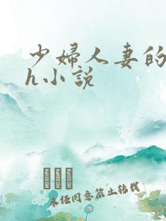 少妇人妻的欲望h小说