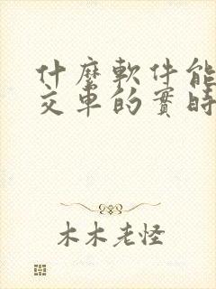什么软件能看公交车的实时位置