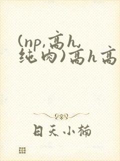 (np,高h,纯肉)高h高辣视频