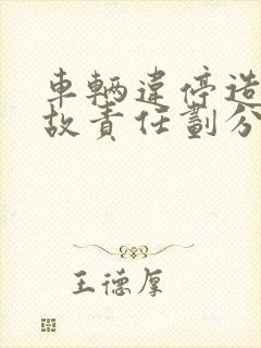 车辆违停造成事故责任划分