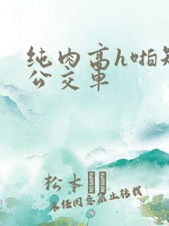 纯肉高h啪短文公交车